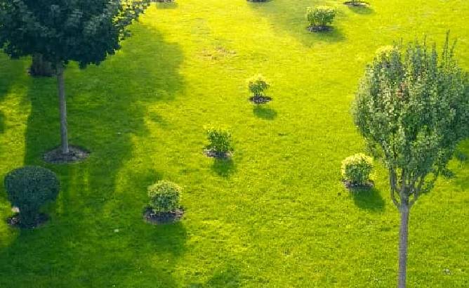 centralgarden